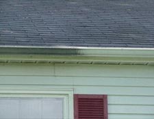 Gutter